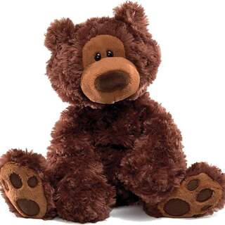 Philbin 12" Chocolate Bear by Gund