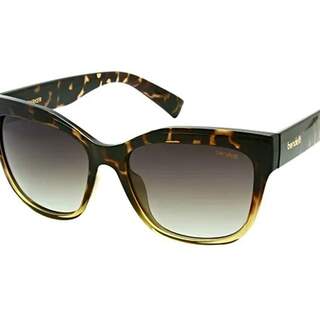Bendetti Sunglasses Elite Series Parker Brown Tortoise Polarized